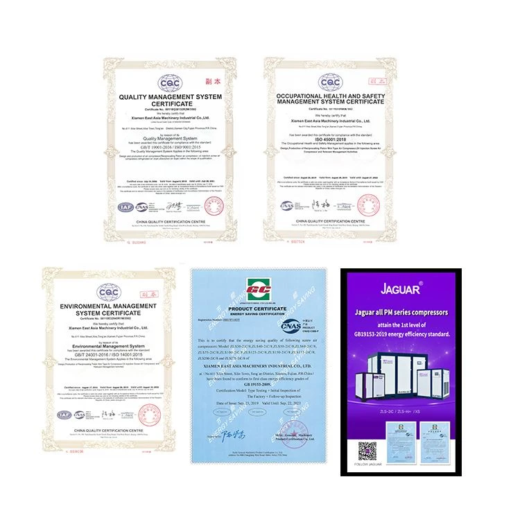 product-1-1 jaguar's certificates